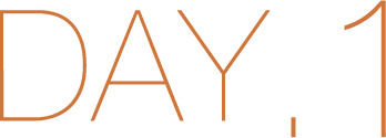 DAY.1