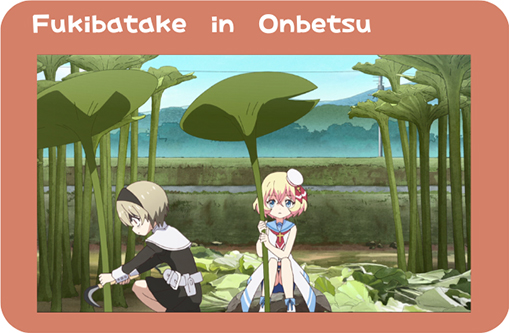 Onbetsu’s butterbur field