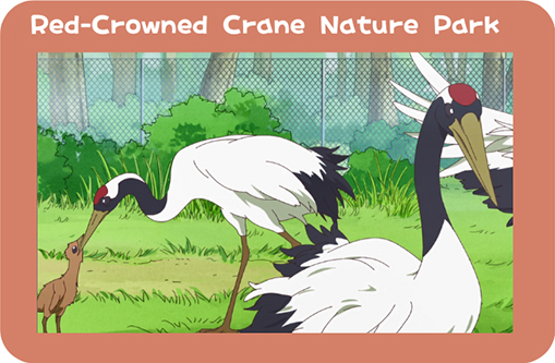 Red-crowned Crane Nature Park
