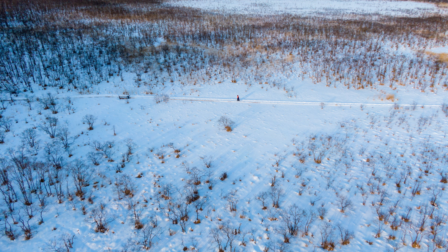 1.「釧路湿原」の幻想的な雪と氷の世界をスノーシューで散策する