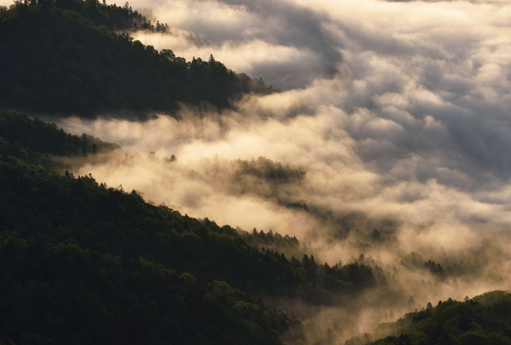 Mashu Kussharo 'Unkai' (Sea of Clouds) Tour