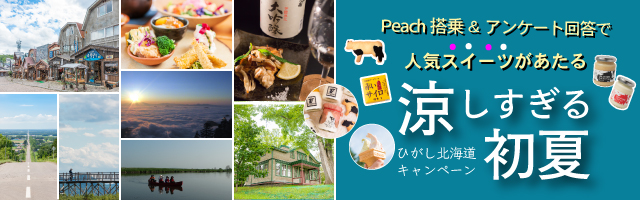 Peach（関西空港〜釧路空港）に搭乗&アンケートに答えてひがし北海道の人気スイーツをGetしよう！