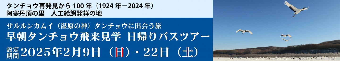 早朝タンチョウ平井見学 日帰りバスツアー